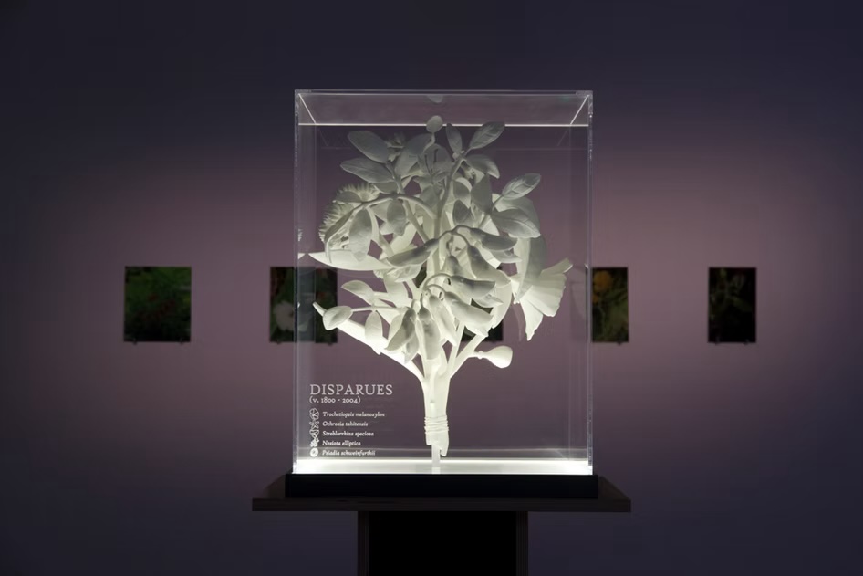 disparues-bouquet-donatien-aubert-sculpture-en-polyamide-imprimee-en-3d-par-frittage-de-poudre-45-x-45-x-164-cm-2020.jpg