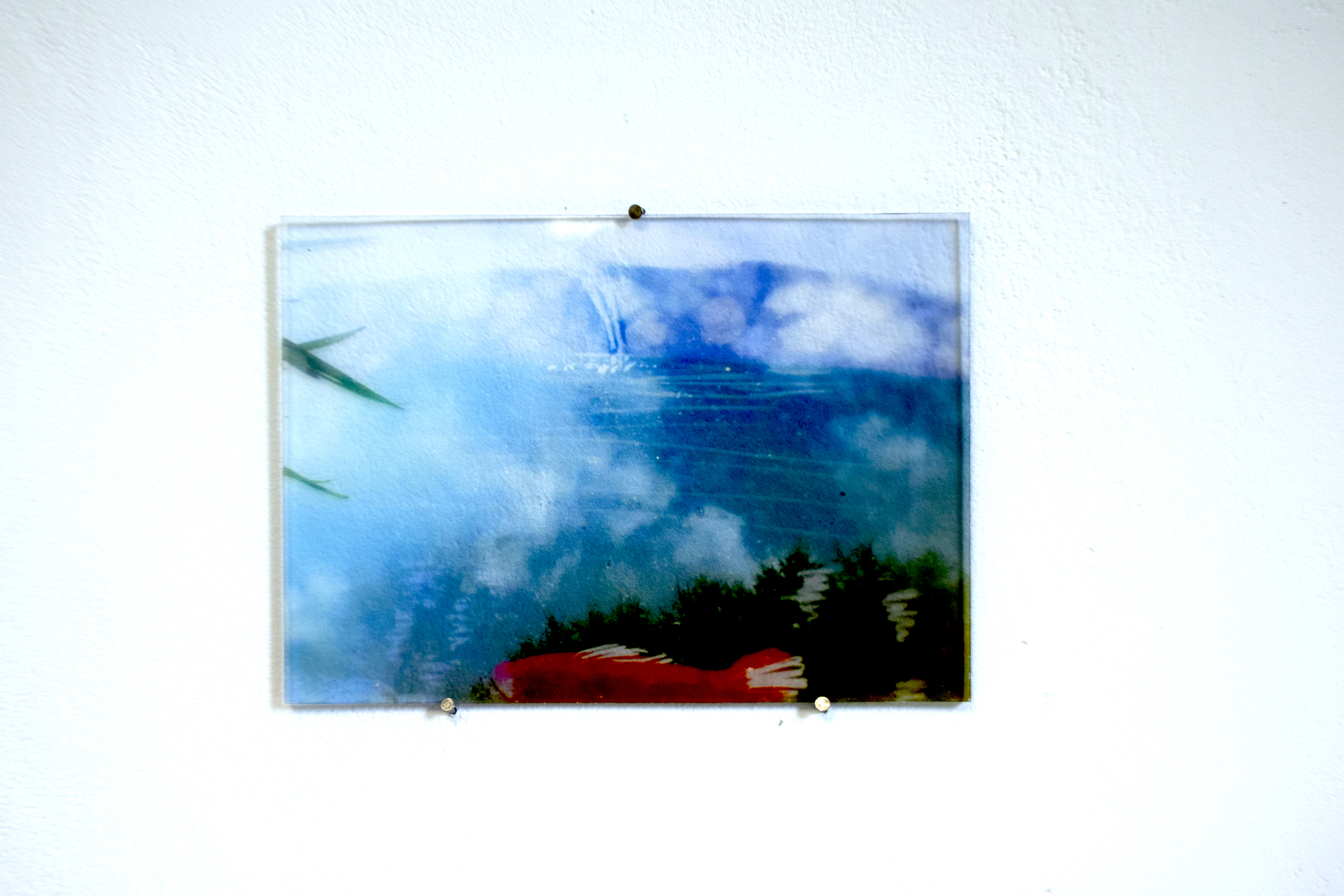dsc0004.jpg