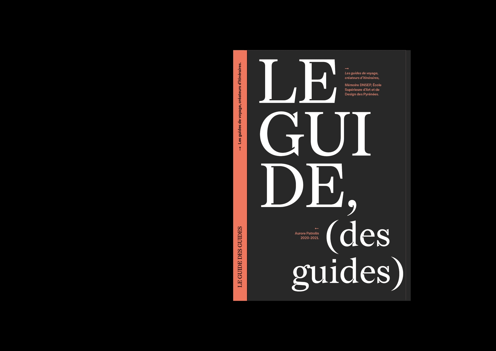 aurore_patrolin_memoire_dnsep_pole_iedc_01.jpg