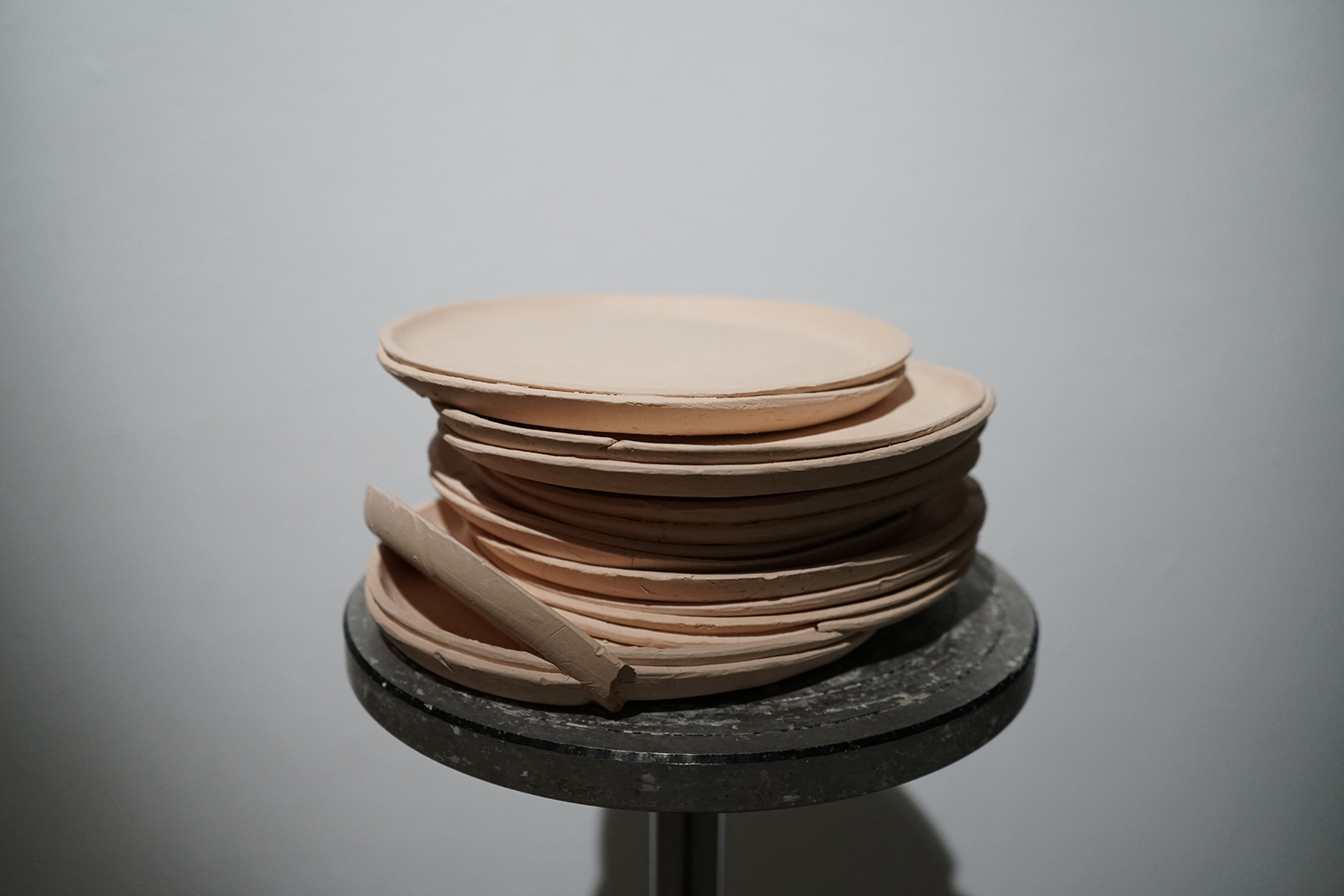 dnaart2026t_rigden-bertie-plates_web.jpg