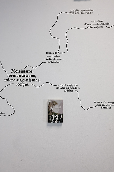 dnsep2026p_raelclara_cnk_01.jpg