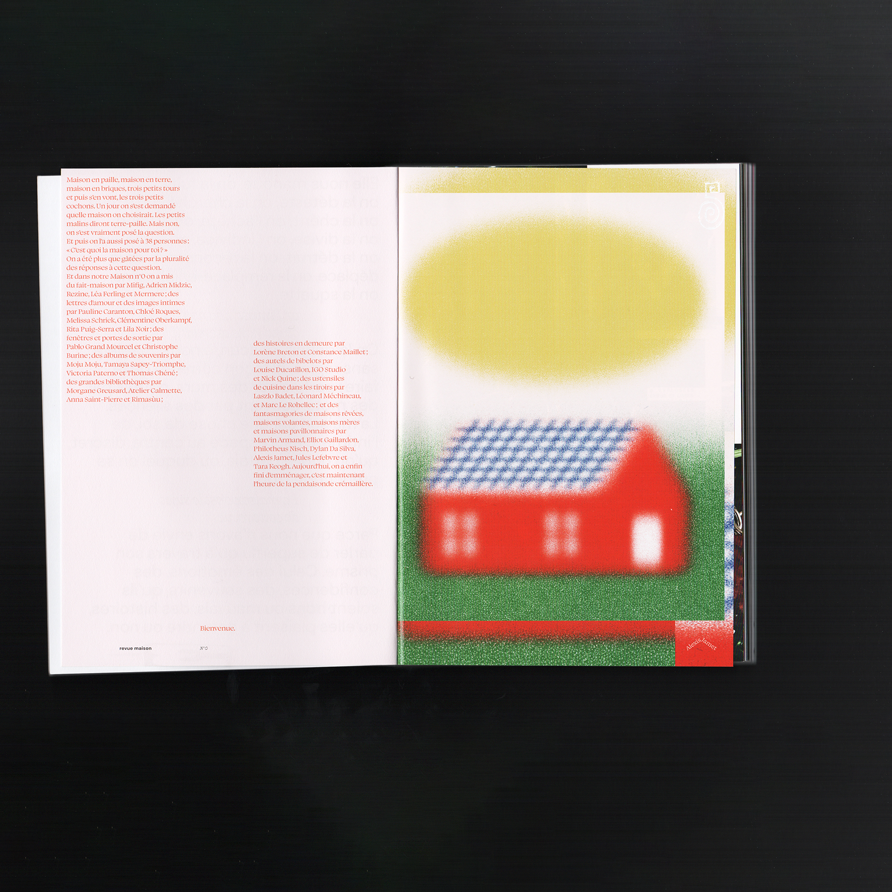 revue_maison_07.jpg