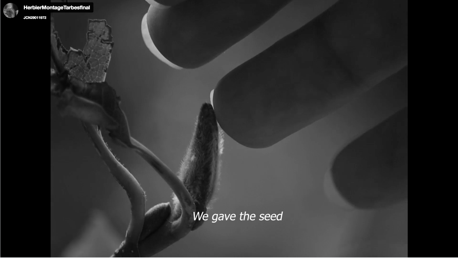 capture-decran-2023-05-09-a-13.51.17.png