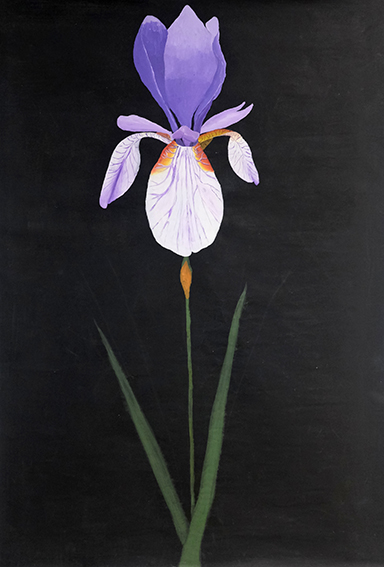 dnaart2026p_michaudeloise_cnk_05.jpg