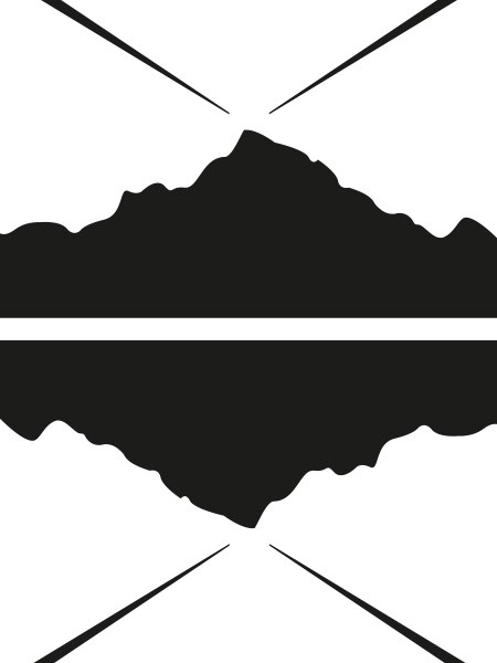 Rotor