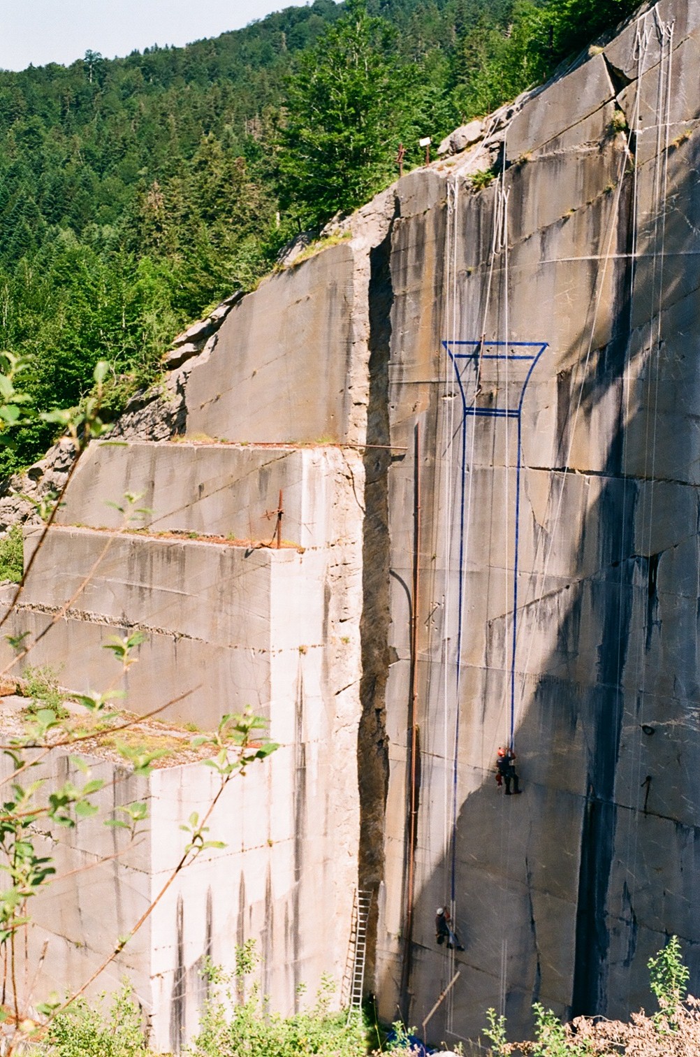 Translation au cordeau parc pics à l'Espiadet - 25 - 9m x 10m, bleu de maçon colle papier 2019