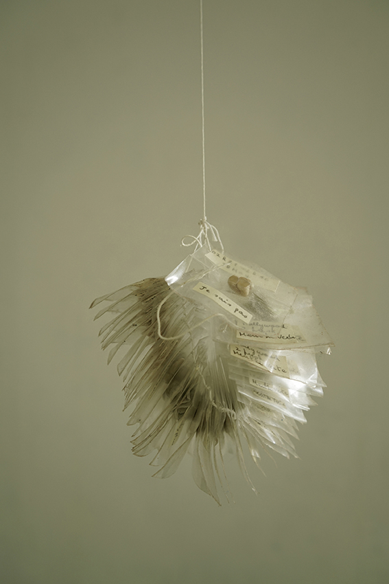 dnaart2026t_claydon-lila03_web.jpg