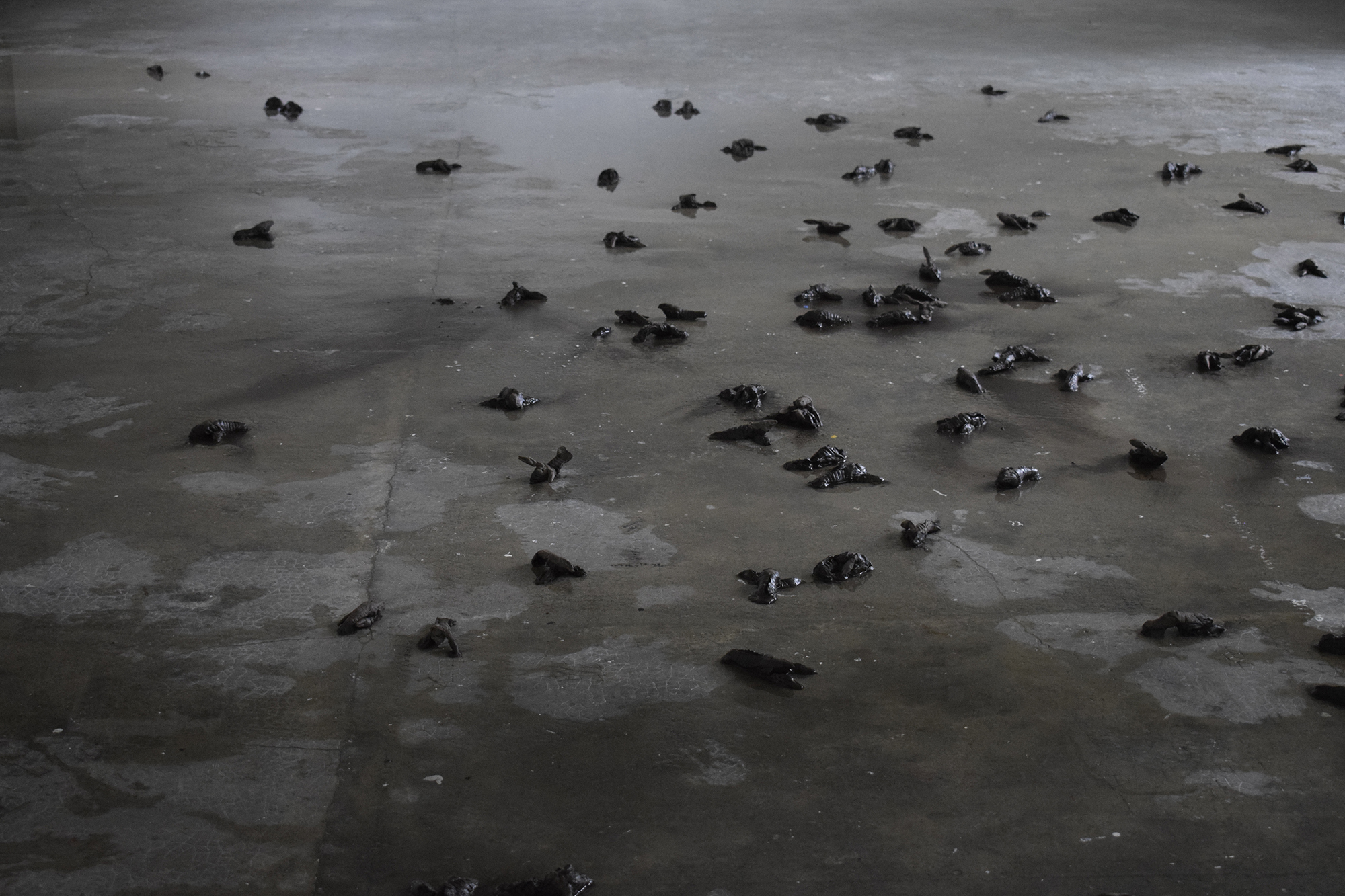 Pestilence - Installation - Faience crue, eau - 2020