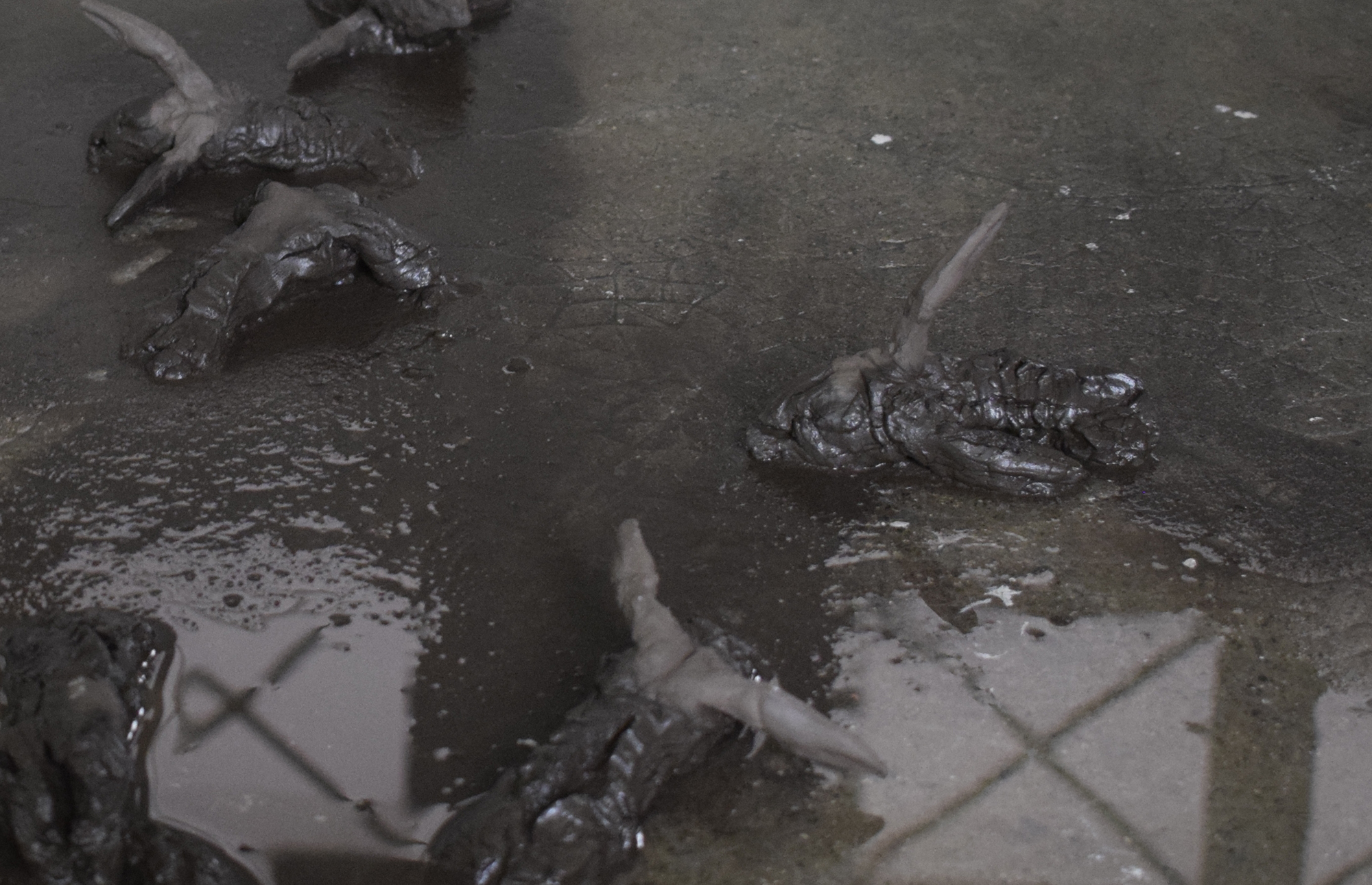 Pestilence - Installation - Faience crue, eau - 2020