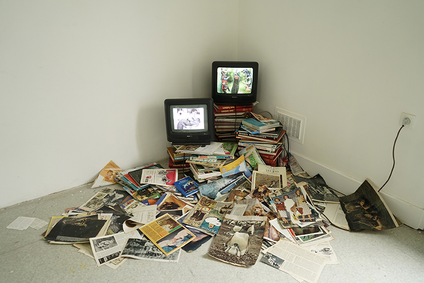 dnaart2026t_pernot-lucie-pas-de-titre-3_web.jpg
