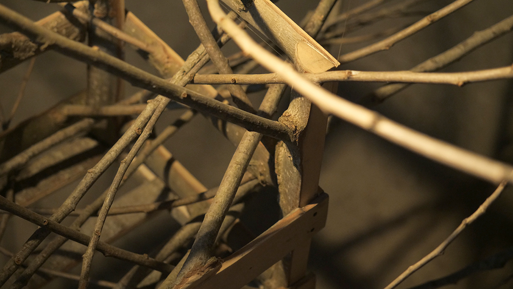 Résurgences, 2019  - Installation sonore, Peuplier 310 x 200 x 140 cm, transducteur sonore, son du diapason